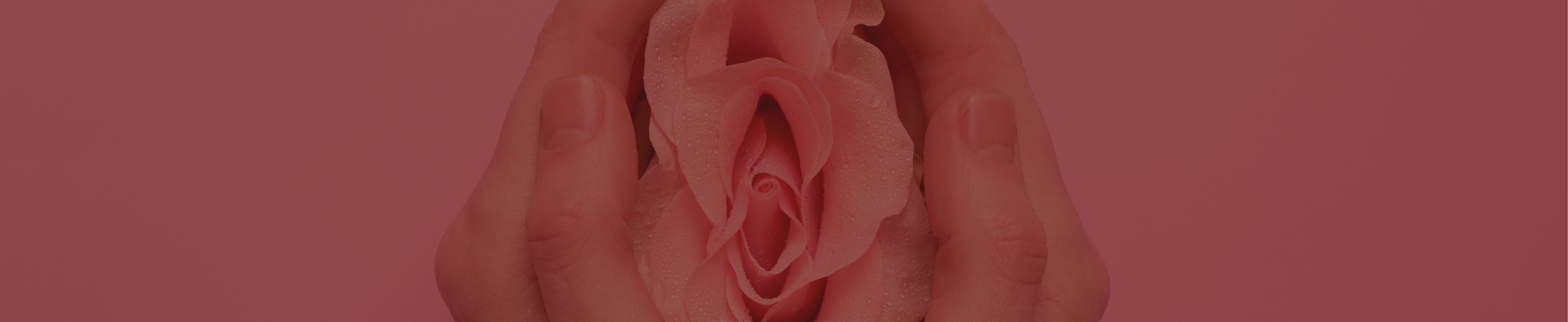 Cirugía Bariátrica